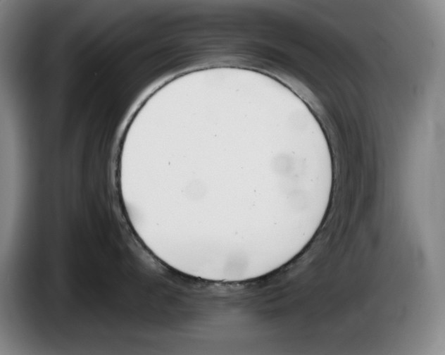 X0000083530912200703091509