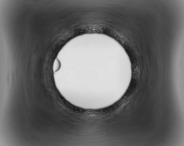 X0000083530913200703091508