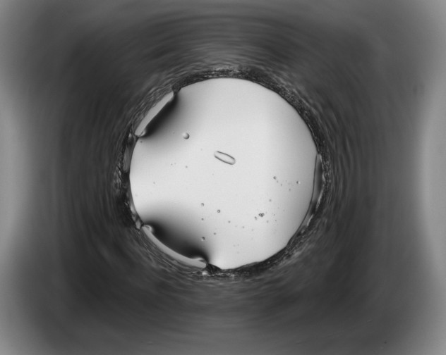 X0000083530916200703091509