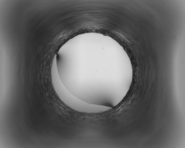 X0000083530917200703091509