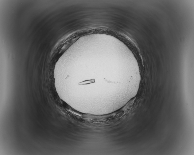 X0000083530920200703091509