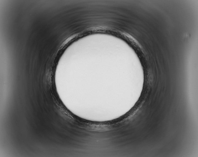 X0000083530921200703091509