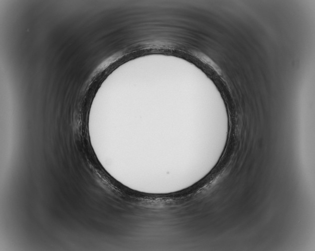 X0000083530922200703091509