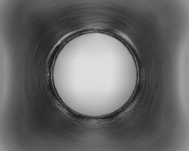 X0000083530923200703091509