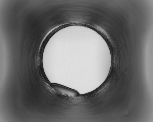 X0000083530924200703091509