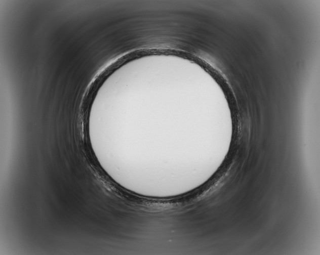 X0000083530925200703091509