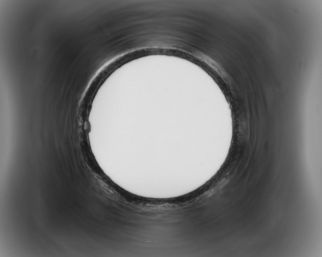 X0000083530926200703091509