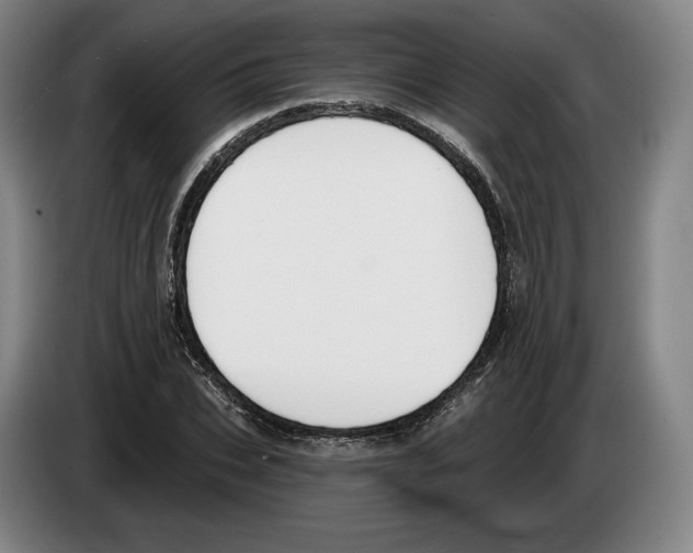 X0000083530927200703091509