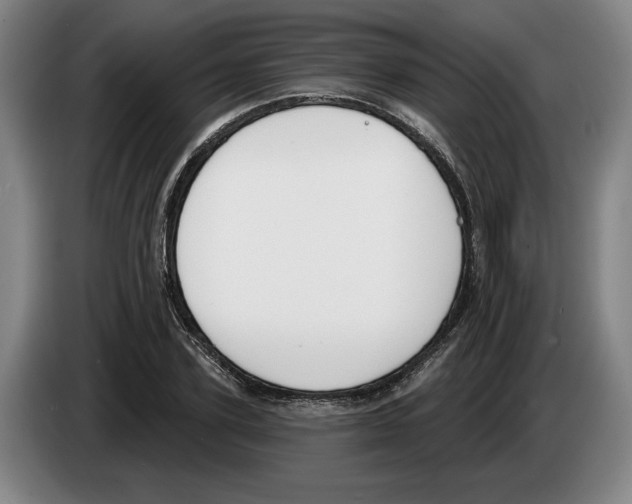 X0000083530931200703091509