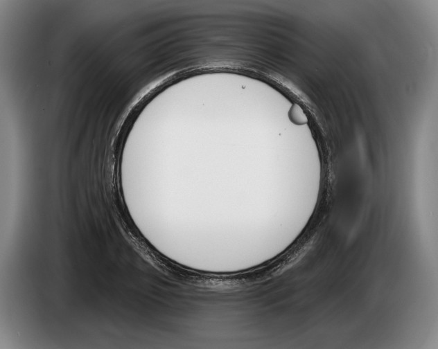 X0000083530933200703091509