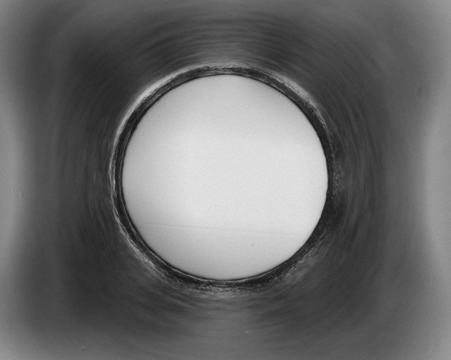 X0000083530935200703091509