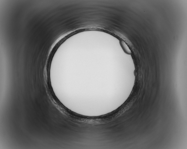 X0000083530936200703091509