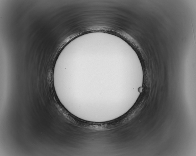 X0000083530937200703091509