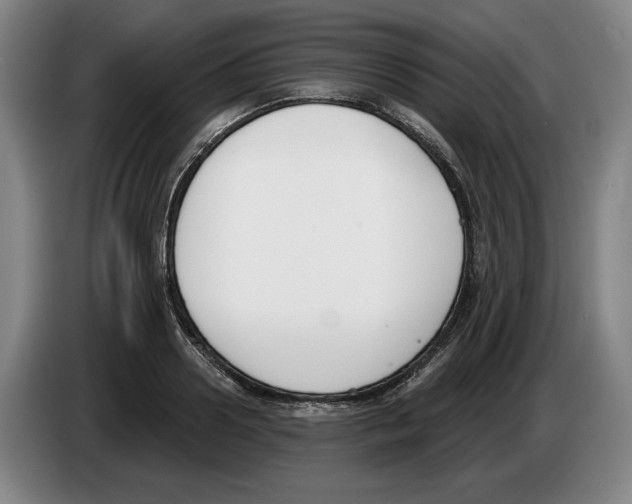 X0000083530938200703091509