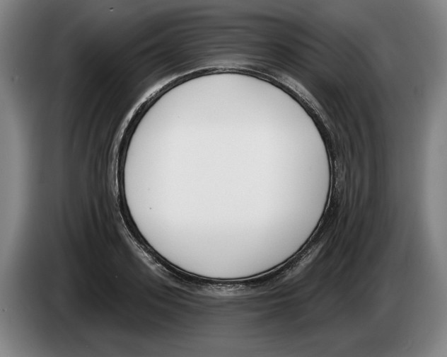 X0000083530939200703091509