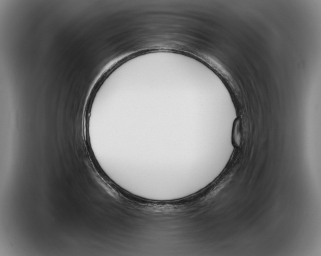 X0000083530940200703091509