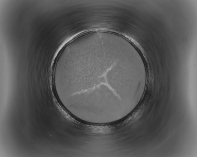 X0000083530941200703091509