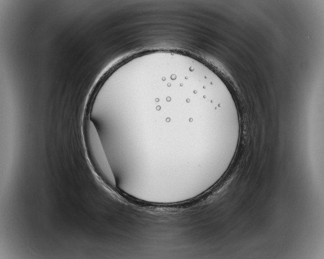 X0000083530942200703091509