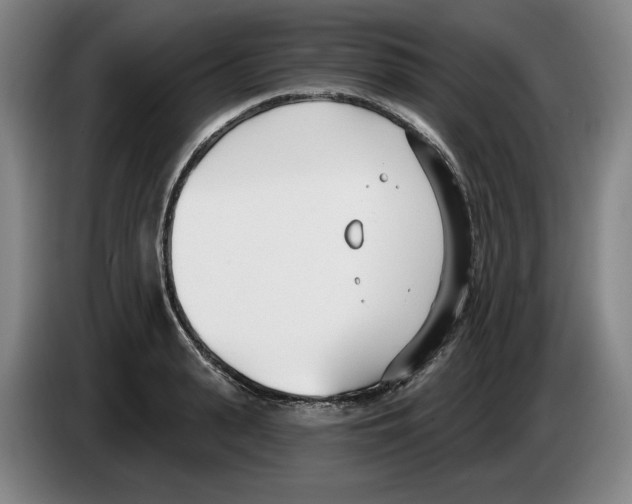 X0000083530943200703091509