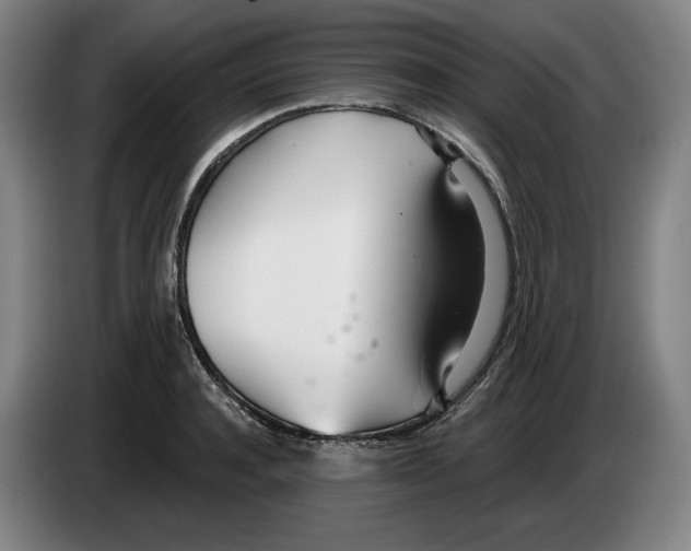 X0000083530944200703091509