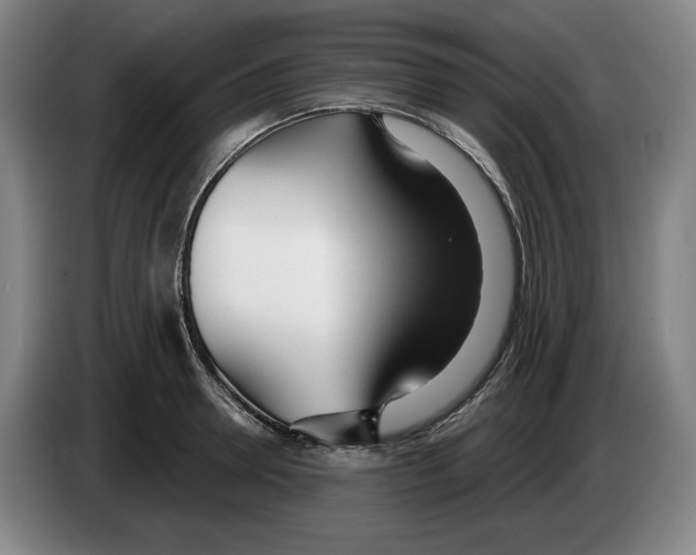 X0000083530946200703091509