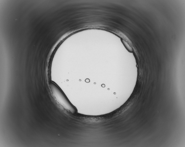 X0000083530947200703091509