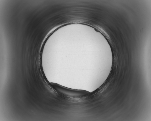 X0000083530948200703091509