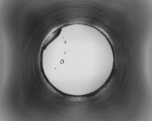 X0000083530949200703091509