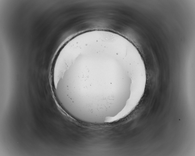 X0000083530950200703091509