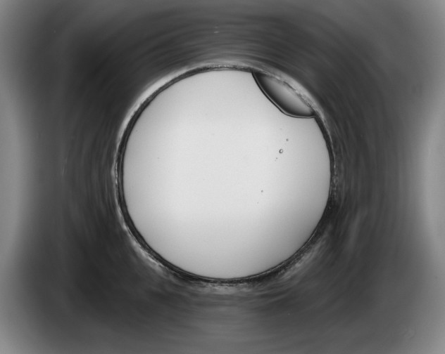 X0000083530951200703091509