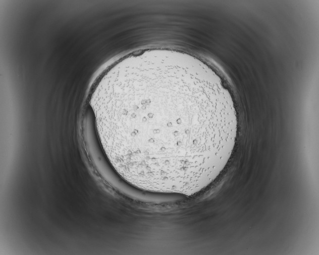 X0000083530952200703091509
