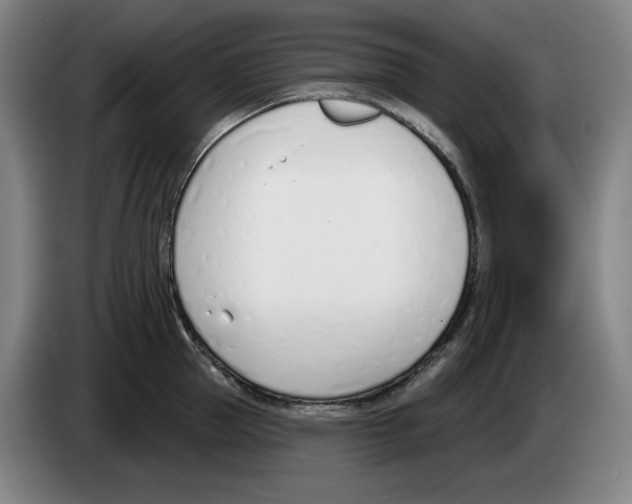 X0000083530953200703091509