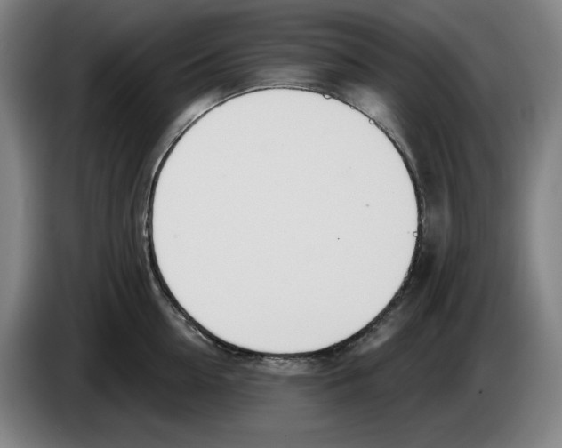 X0000083530954200703091509