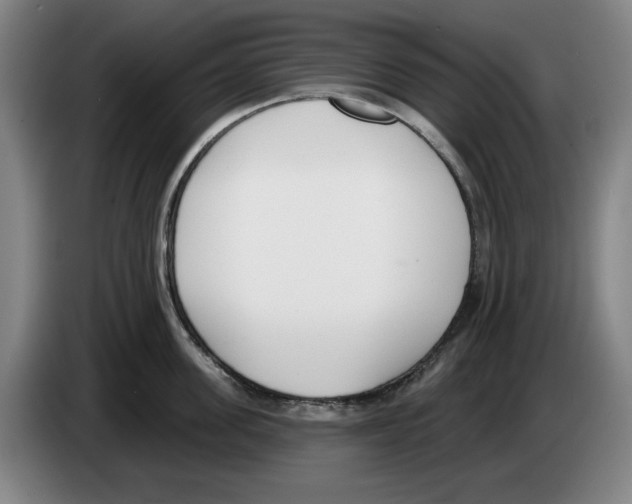 X0000083530955200703091509