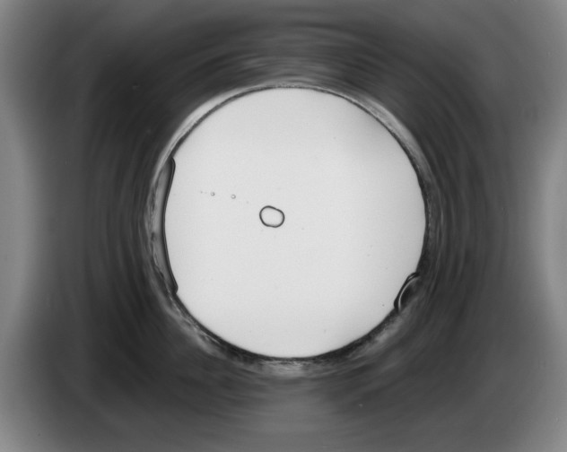 X0000083530956200703091509