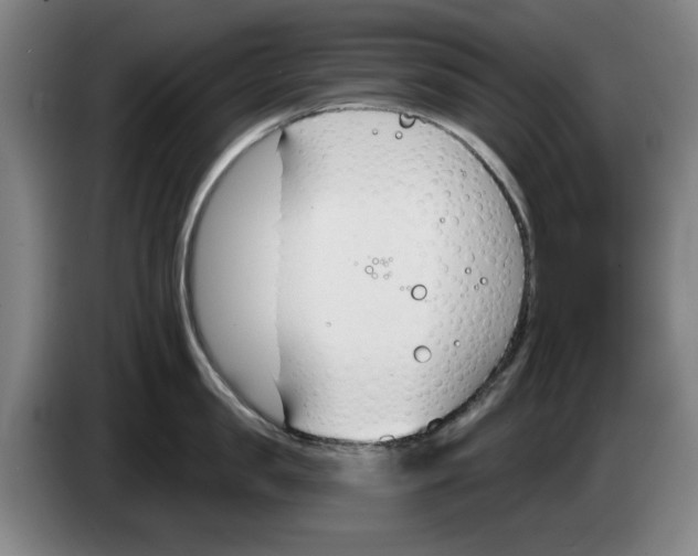 X0000083530957200703091509