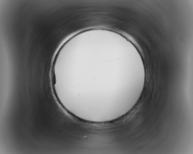 X0000083530959200703091509