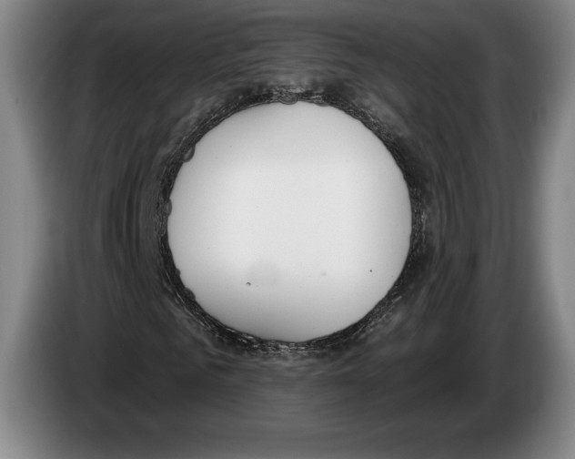 X0000083530961200703091508