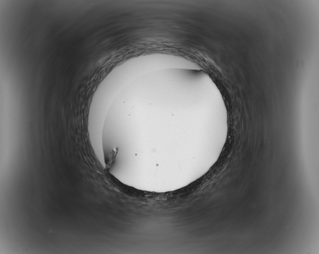 X0000083530965200703091508