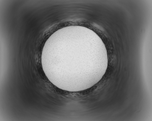 X0000083530966200703091508