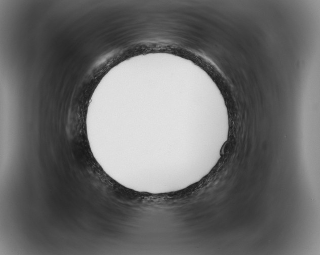 X0000083530967200703091508