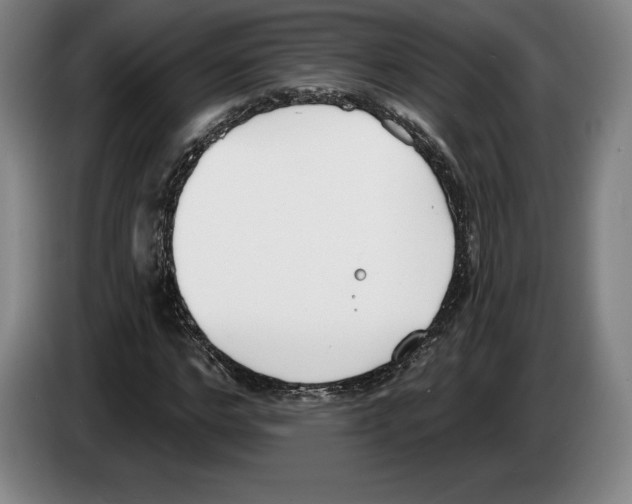 X0000083530968200703091508