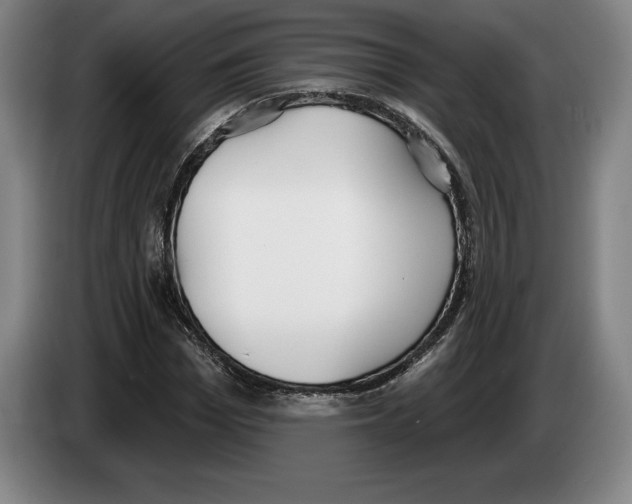 X0000083530969200703091508