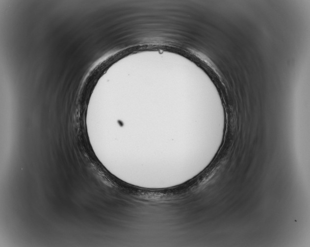 X0000083530971200703091508