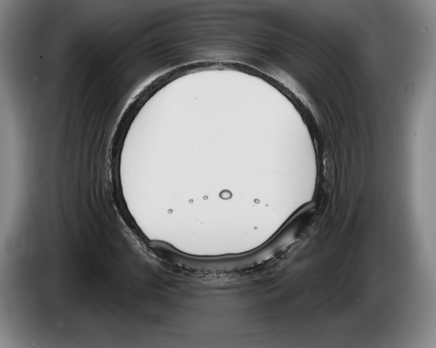 X0000083530972200703091508