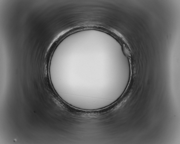 X0000083530973200703091508