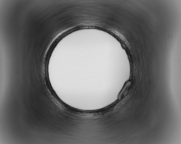 X0000083530976200703091508