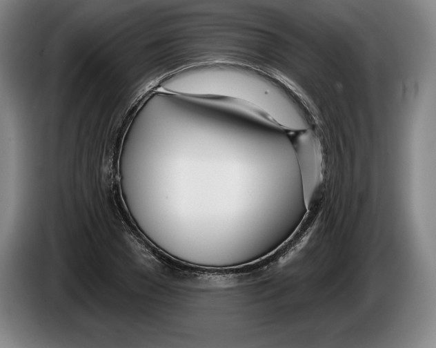 X0000083530977200703091508