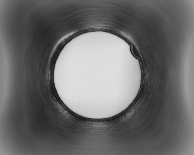 X0000083530979200703091508