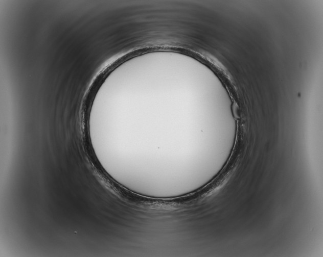 X0000083530981200703091508